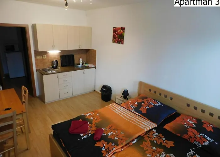 Apartmany Horni Plana 公寓 *