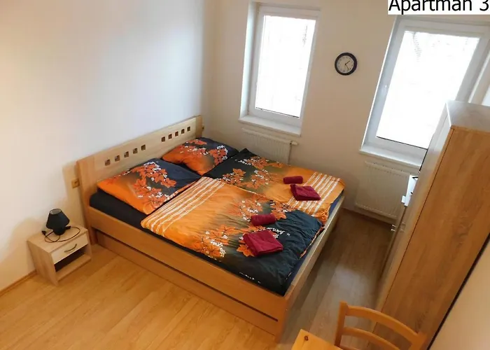 Apartmany Horni Plana 公寓 *