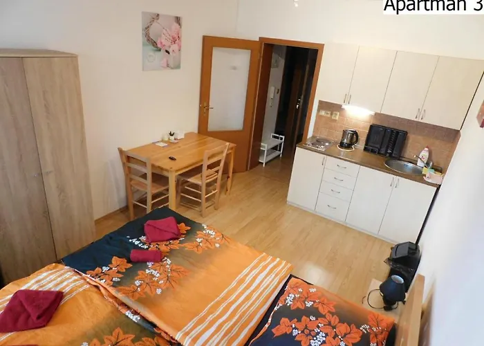 公寓 Apartmany Horni Plana *