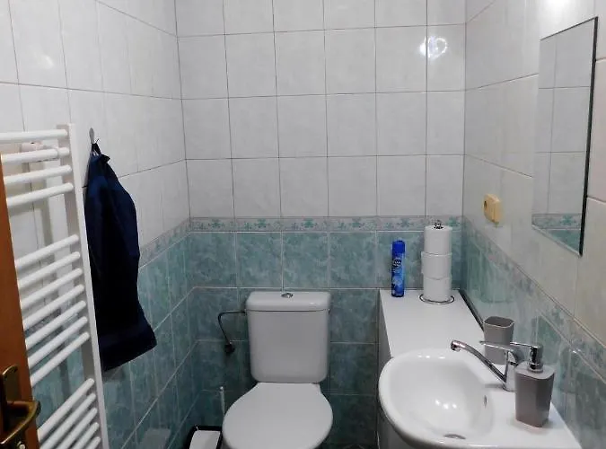 Apartmany Horni Plana 公寓