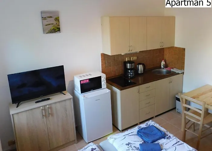 Apartmany Horni Plana 公寓