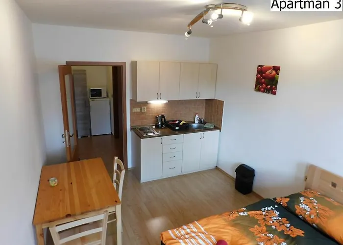 公寓 Apartmany Horni Plana *