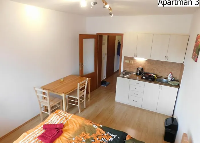 公寓 Apartmany Horni Plana
