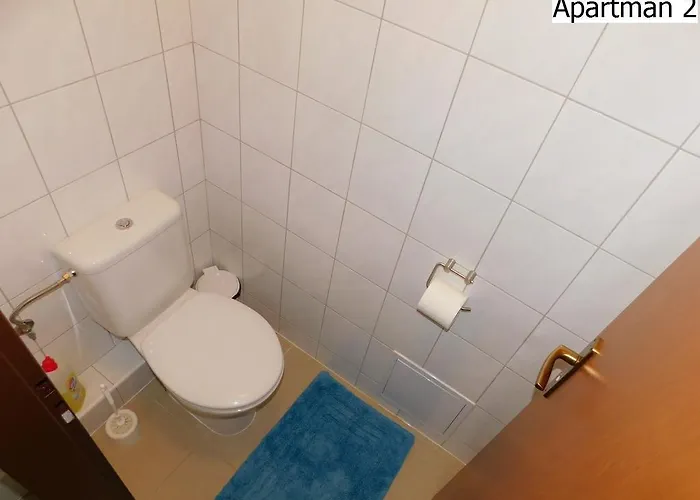 Apartmany Horni Plana 公寓 *