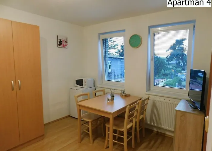 Apartmany Horni Plana 公寓 *